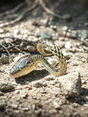 The Serpent Oracle Ring